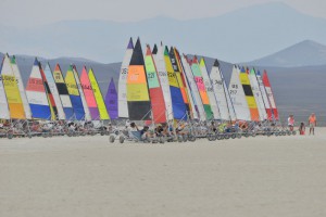 manta1