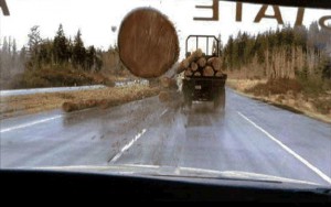 the-log